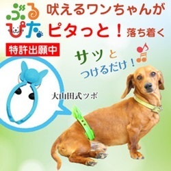 犬の躾でお悩みの方は ブルピタ の効果をお試しください Maedaya 前田家 Blog